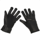 bw-handschuhe-schwarz-small.jpg